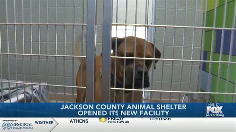 Jackson County opens no kill animal shelter - YouTube