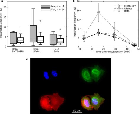 Efficiency for double plasmid transfection:: (a) Comparison of the ...