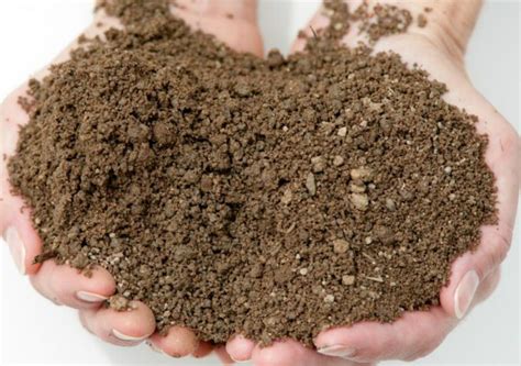 Make the Most of Your Garden Soil With These 6 Types Of Soil!