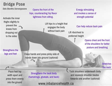 A Study on Bridge Pose (Setu Bandha Sarvangasana) - In Balance Health