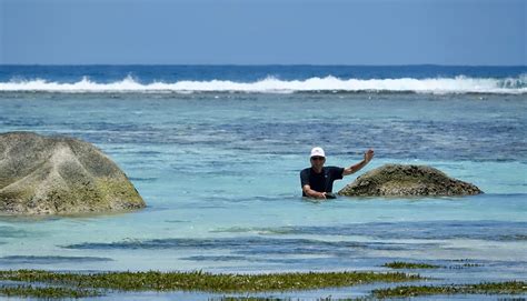 Seychelles Wildlife - Where are Sue & Mike?