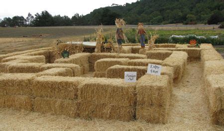 hay maze for toddlers, lots of places have them might be worth a try? | Maze design, Hay maze ...