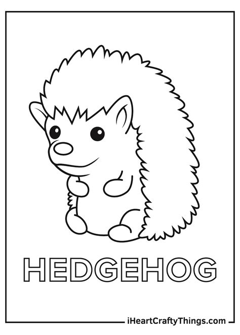 Baby Hedgehog Coloring Page