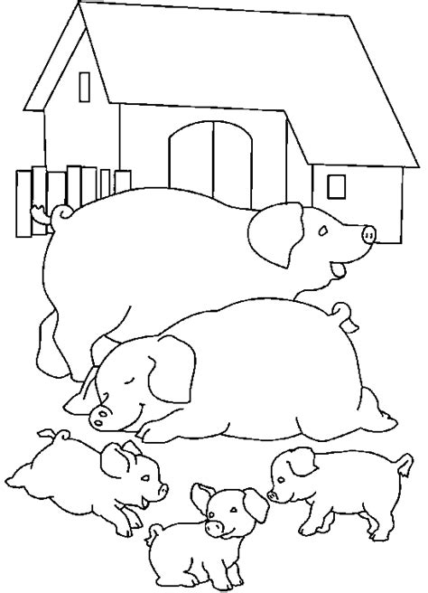 Coloring pigs in a farm picture