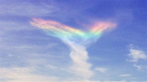 Strano ma vero Arcobaleno Hotel infestato Bastoncini di granchio Ombra ...