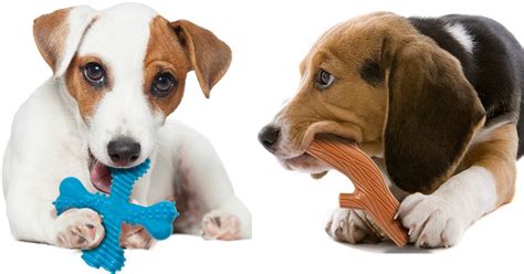 Amazon: 40% Off Nylabone Dog Toys & Treats