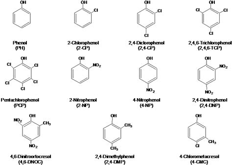 Molecules | Free Full-Text | Methodologies for the Extraction of ...