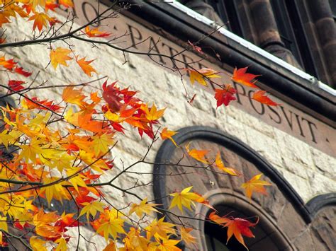 Fall on campus | Brown University, on the main green | Stephanie | Flickr