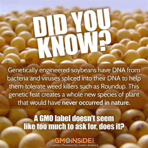 FACT: 96% of soybeans are now genetically engineered. GMOs were not ...