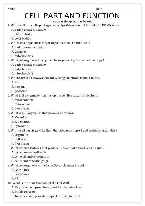 16 Best Images of Cells And Their Organelles Worksheet - Cell Organelles Worksheet Answer Key ...