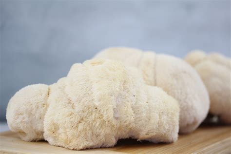 Lion's Mane Mushrooms - Culinary Classics International