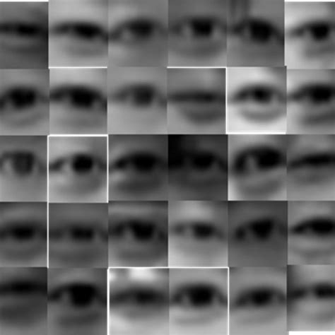 Examples of a training dataset for face and eye detection: (a) positive ...