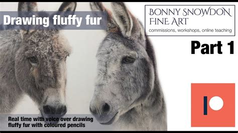 Drawing fluffy donkey ears with coloured pencil - Part 1 - YouTube