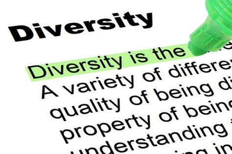 Diversity - Highlighted Words and Phrases