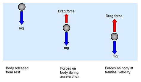 Terminal Velocity - Miss Wise's Physics Site