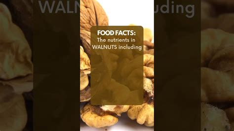 Walnuts & BRAIN health! #shorts #brainhealth #walnuts #health - YouTube