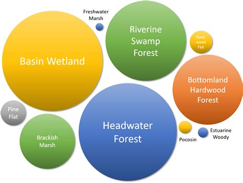 wetland site types : North Carolina Wetlands