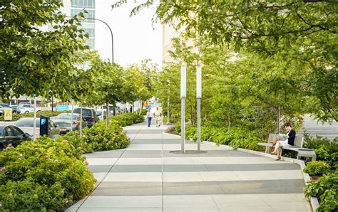 Buffalo Niagara Medical Campus Streetscape - SCAPE | Streetscape design, Urban landscape design ...