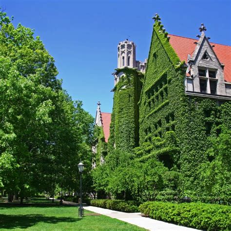 University of Chicago Admissions Guide & Counseling