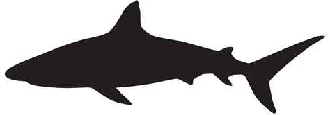 Great white shark Silhouette Clip art - sharks png download - 8000*2808 - Free Transparent Shark ...