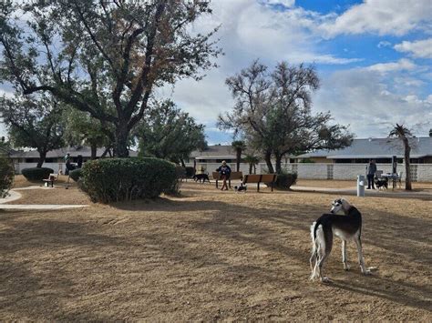 RCSC, members agree on Sun City dog park