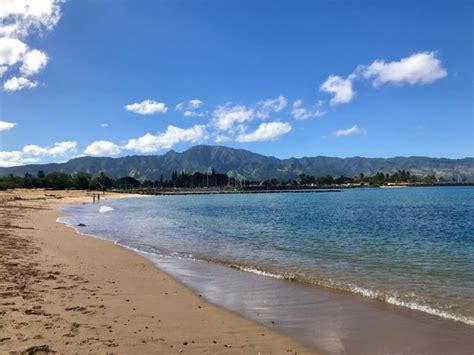 Haleiwa Beach Park: UPDATED 2020 All You Need to Know Before You Go (with PHOTOS)