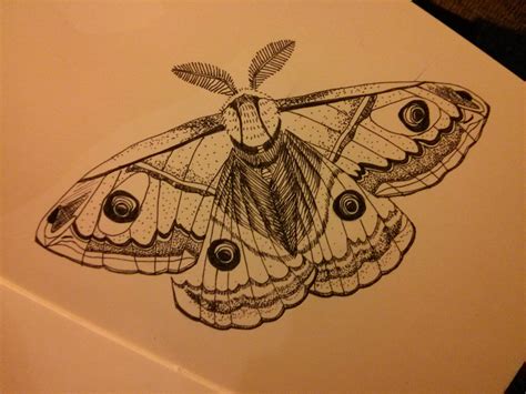 a drawing of a moth on top of a piece of paper with an eyeball in it