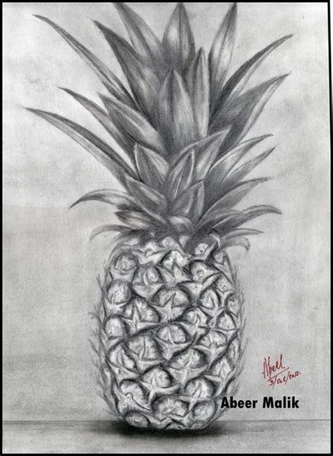 Pineapple Pencil Drawing | Nature sketches pencil, Nature sketch ...