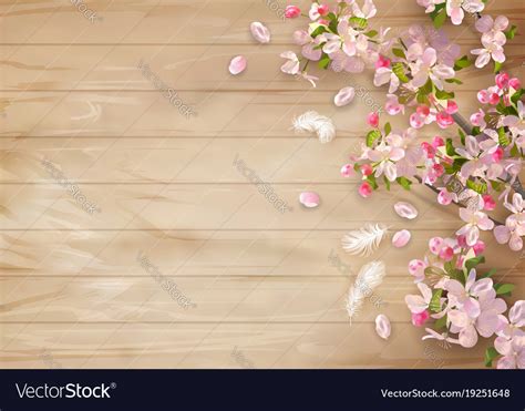 Background with spring flowers Royalty Free Vector Image