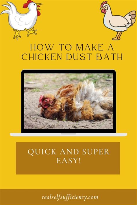 How to Make a Chicken Dust Bath: Quick and Super Easy!