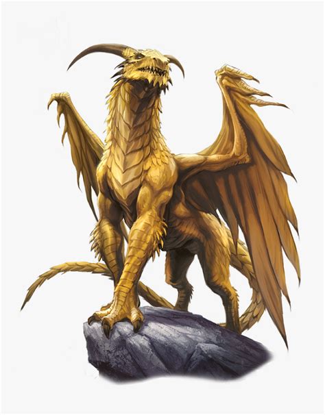 Gold Dragon Png, Transparent Png - kindpng