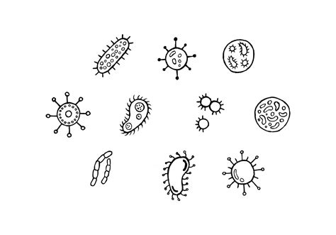 Bacterias Icono Vectoriales 149324 Vector en Vecteezy