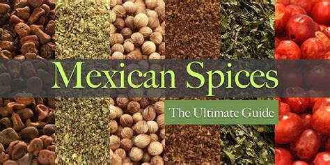 The Ultimate Guide to Mexican Spices - SpicesInc.com | Mexican spices, Mexican food recipes, Spices