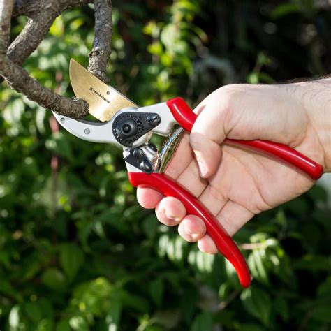 8 Best Pruners Reviews - That Will Trim Your Garden To Precision - Tool Box