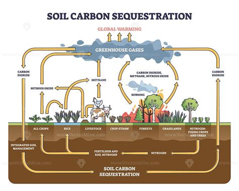 Soil carbon sequestration with greenhouse gases absorption outline ...