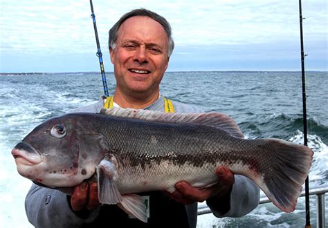 Tautog Tips From The Pros - On The Water