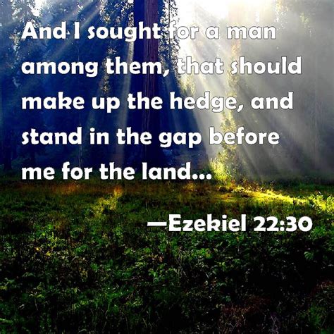 Ezekiel 22:30 And I sought for a man among them, that should make up ...