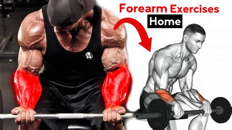 Best 5 Forearm Exercises For Big Forearms | Full Forearm Workout Routine | Forearm Training ...