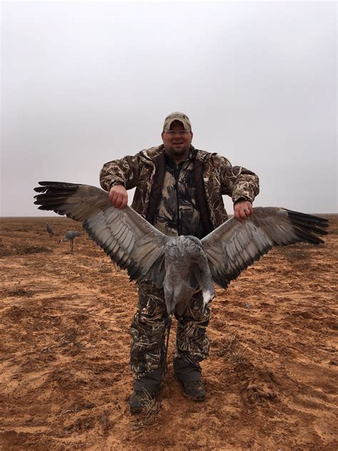 USA: Sandhill Crane Hunt West Texas | AfricaHunting.com