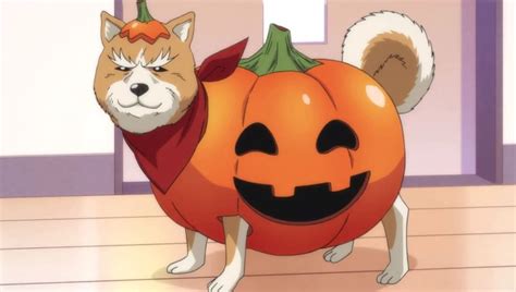 10 Best Dog Anime - AniYuki - Anime Portal