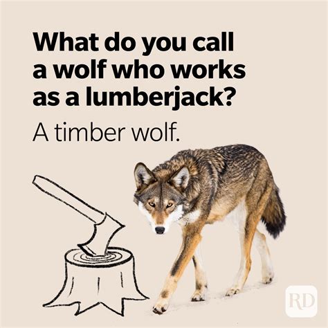 25 Wolf Puns That Are Howlingly Funny | Trusted Since 1922