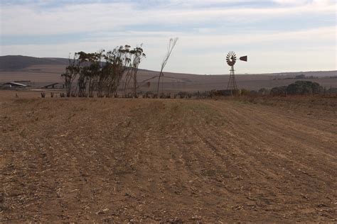 Arid Landscape Trees Windmill - Free photo on Pixabay