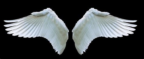 HD wallpaper: Child Girl White Wings, 1920x1200 | Wallpaper Flare