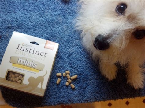 Reactive Champion: Review: Nature's Variety Instinct Raw Boost Minis from Chewy.com