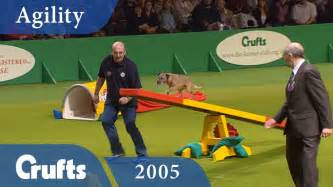 Agility Championship Final from Crufts 2005 | Crufts Dog Show - YouTube