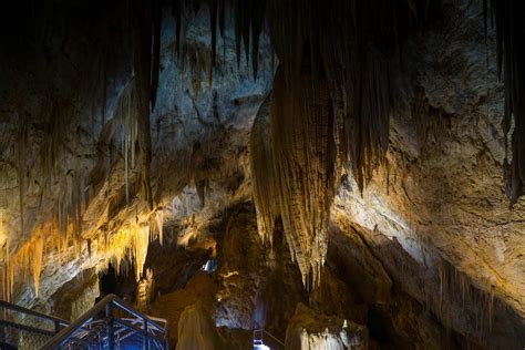 Hastings Caves and Thermal Springs | Experience Tasmania