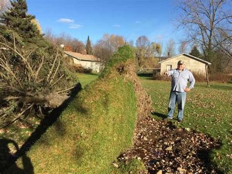 Sudden 'microburst' causes damage near Rome, New York State -- Earth ...