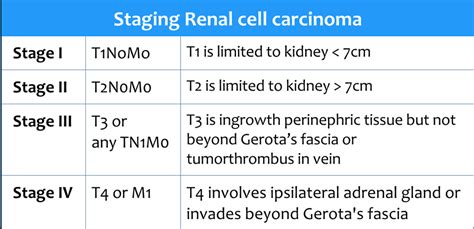 Stage 3 Renal Cell Cancer Prognosis - CancerWalls