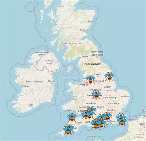 Invasive Asian hornets spotted across UK - here’s what to do if you see ...