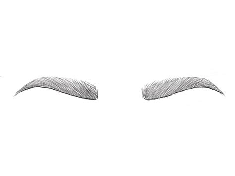 How To Draw Eyebrows Art